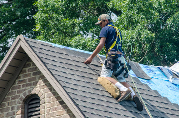 Gutter Installation and Roofing in Walterboro, SC